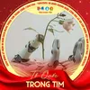 minh_thu_thuy
