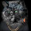 user2402346492154