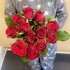 ahmed27618