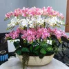 binh10048