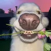 zac24604