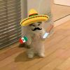 carlos_080602