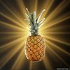 pineapplepacker