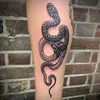 elrosetattoo