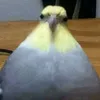 enriquerbl0