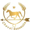 Cheval Essaouira🤠