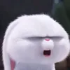 user97cq6tclfn