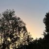 estehmanis_216