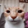 whatevesbuddy