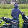 kacubungbajarang_
