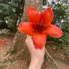 motngoc_22