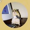 mohammed_shahid33
