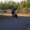 zeb_biever1601