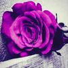 ooww728
