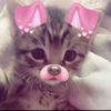 jono_amr