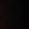 arye_wb