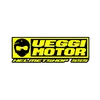 Ueggi Motor Helmet