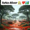 tutor.ibrahim393