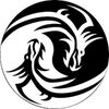 charronegrodj