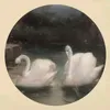 gbhdiiefo