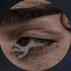mge6_