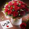 tark5015