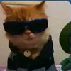 alowjly