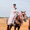 al.bo.a9