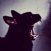 6skull6crvsh6