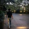 thaff_f