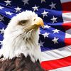 american_2a1