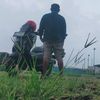 ghai_soel_sotopunokawan