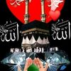 user743549612848