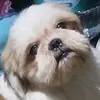 monggo_bread