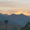 jaynepal191