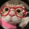 kimochikitty93
