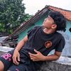 zlni11_