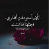 zain_abdeen_afeef