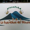 user2170851532056
