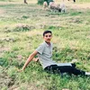 عباس العگاب