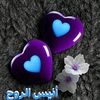 badryuser7837974976820
