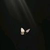beautyswan.99