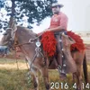 alessandronicode0