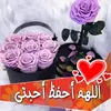 zainbmustafa6