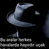 ekselans717171