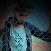 lzer_sjd