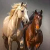 arkandawooi3