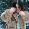little_dinosaur04