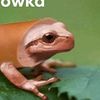 jebackurwy3231