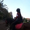 selaicoklatt_